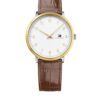 Tommy Hilfiger Horloge James goudkleurig-bruin TH1791340