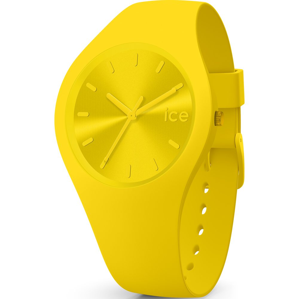 Ice-Watch horloge (017909)